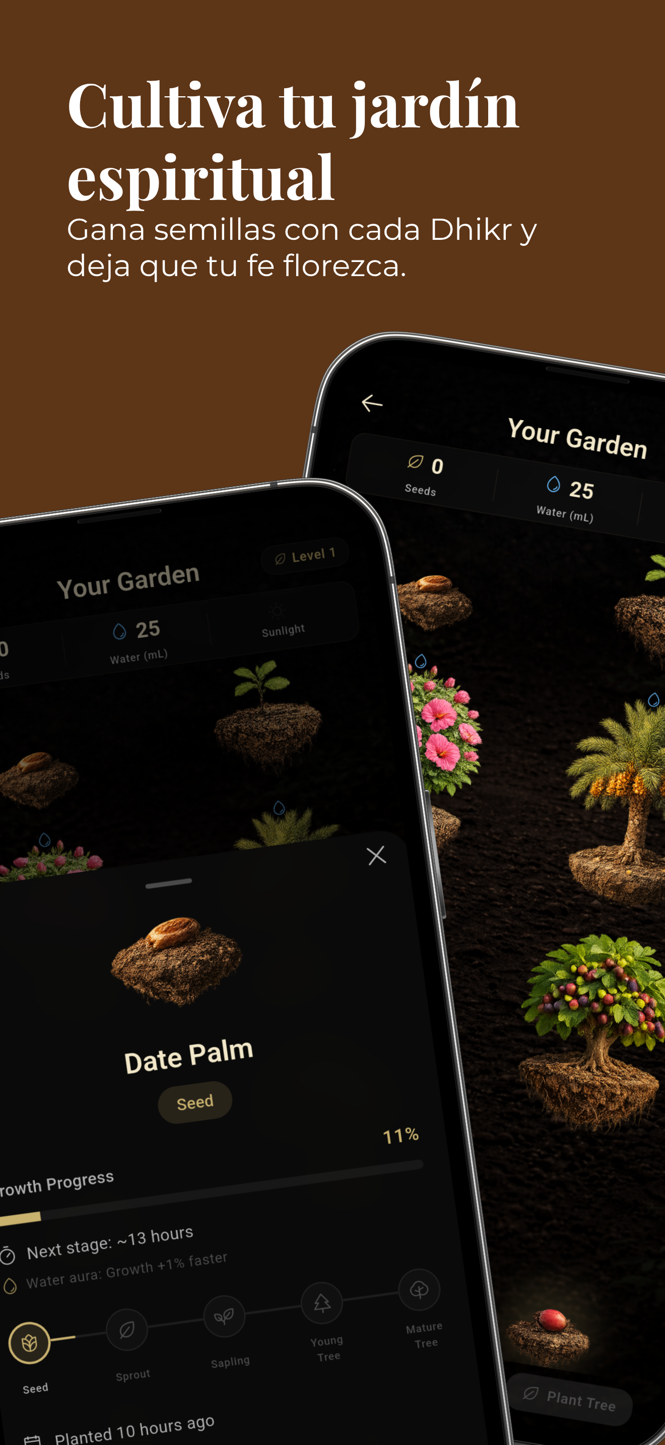Insch: Tiempo de Rezo y Adán 2