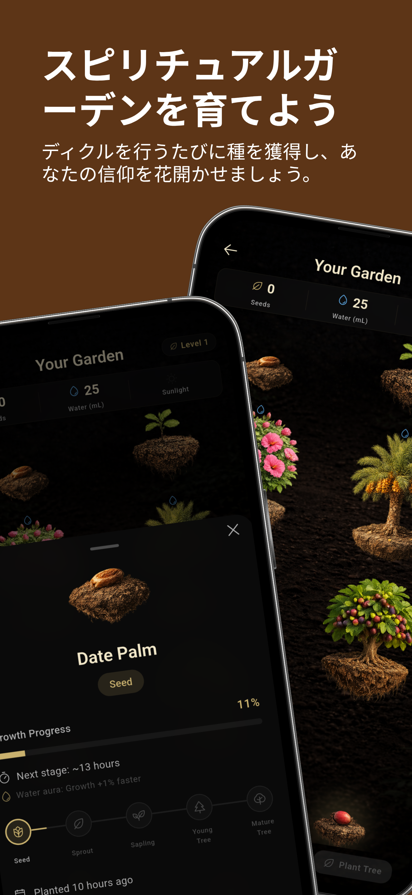 Insch: 礼拝の時間とアザーン 2